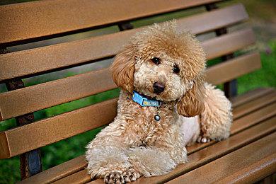 《FF7RE》制作人北濑佳范惊喜现身高能电玩节！今晚7点不见不散